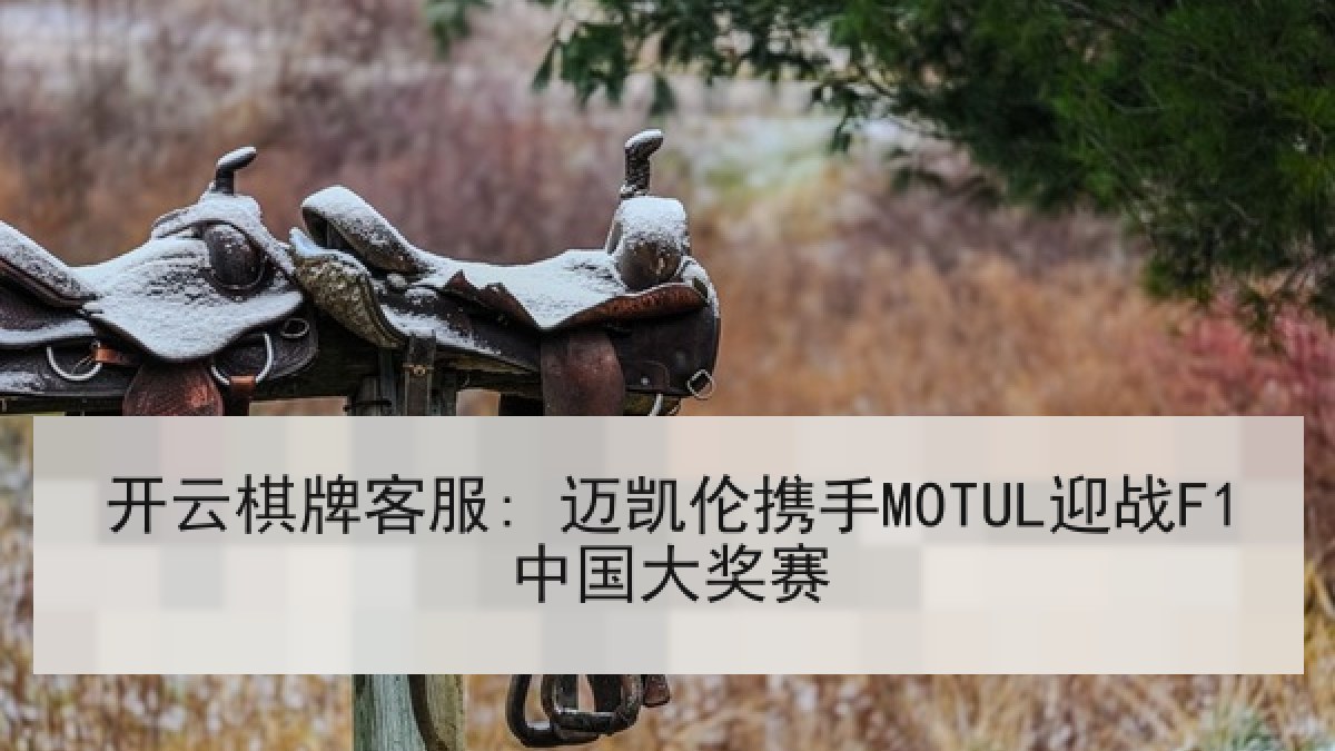 开云棋牌客服: 迈凯伦携手MOTUL迎战F1中国大奖赛