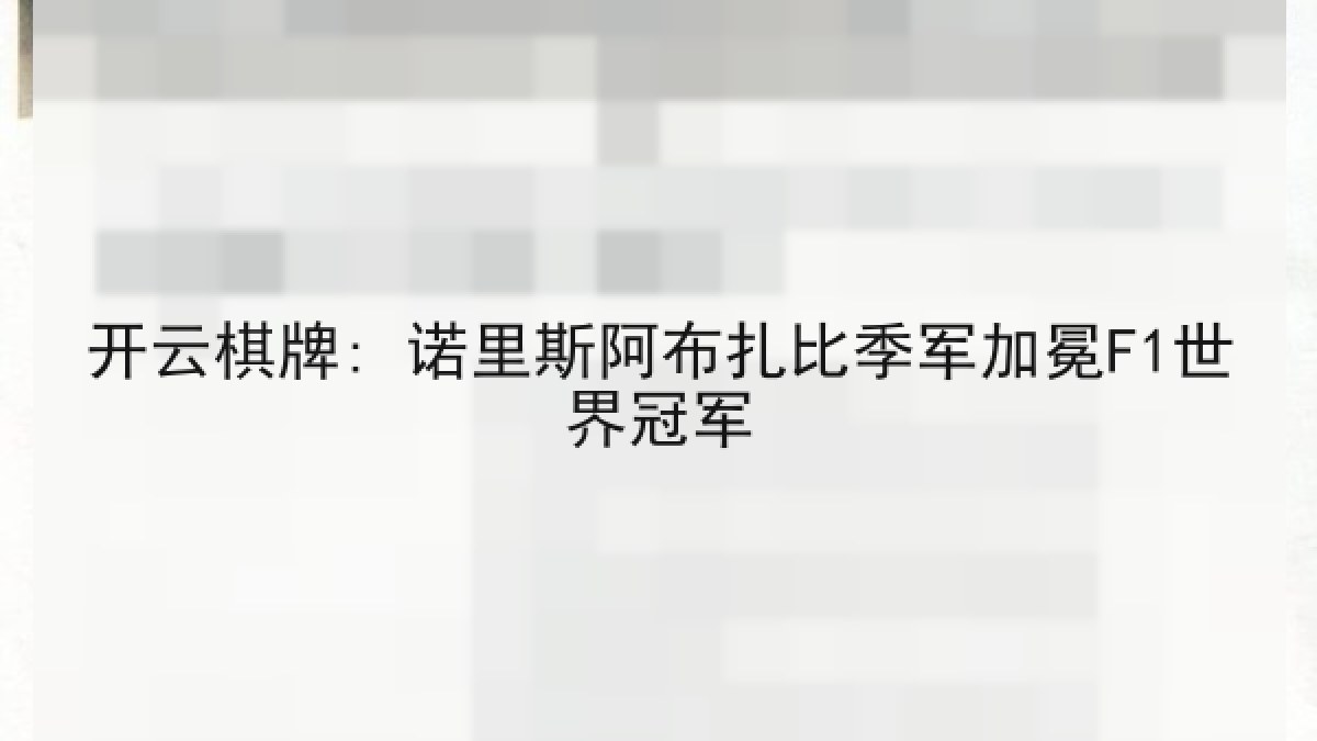 开云棋牌: 诺里斯阿布扎比季军加冕F1世界冠军