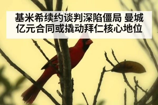 基米希续约谈判深陷僵局 曼城亿元合同或撬动拜仁核心地位